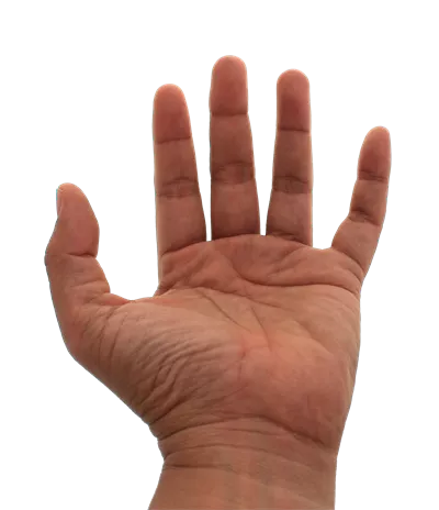 فایل تصویر دست روی پسزمینه شفاف برای طراحی و ویرایش گرافیکی