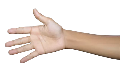 دستها در پسزمینه سفید: عکاسی ایزو لیشن و نمایش دقت,