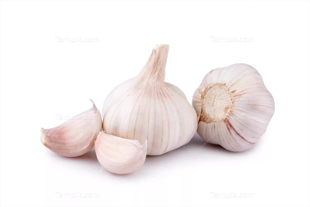 سیر تازه جدا شده بر روی زمینه سفید - ویژه آمادهسازی و آشپزی