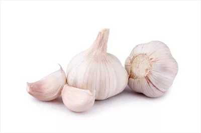 سیر تازه جدا شده بر روی زمینه سفید - ویژه آمادهسازی و آشپزی