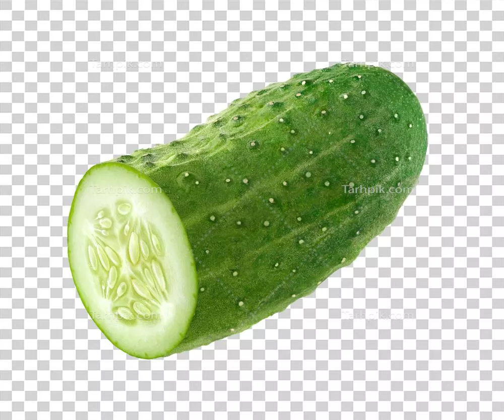 برش خیار بهصورت ایزوله و جدا از سایر مواد