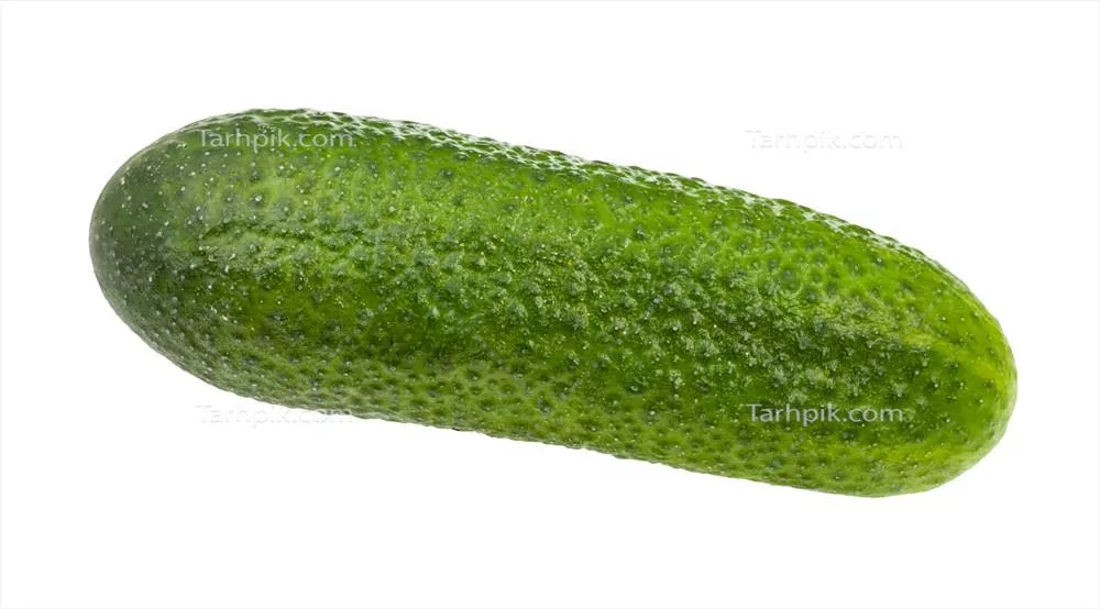 خیار تازه و سبز با پس‌زمینه سفید و جذابیت بی‌نظیر