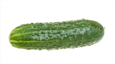 خیار سبز سالم و تازه بر روی پسزمینه سفید بهتنهایی