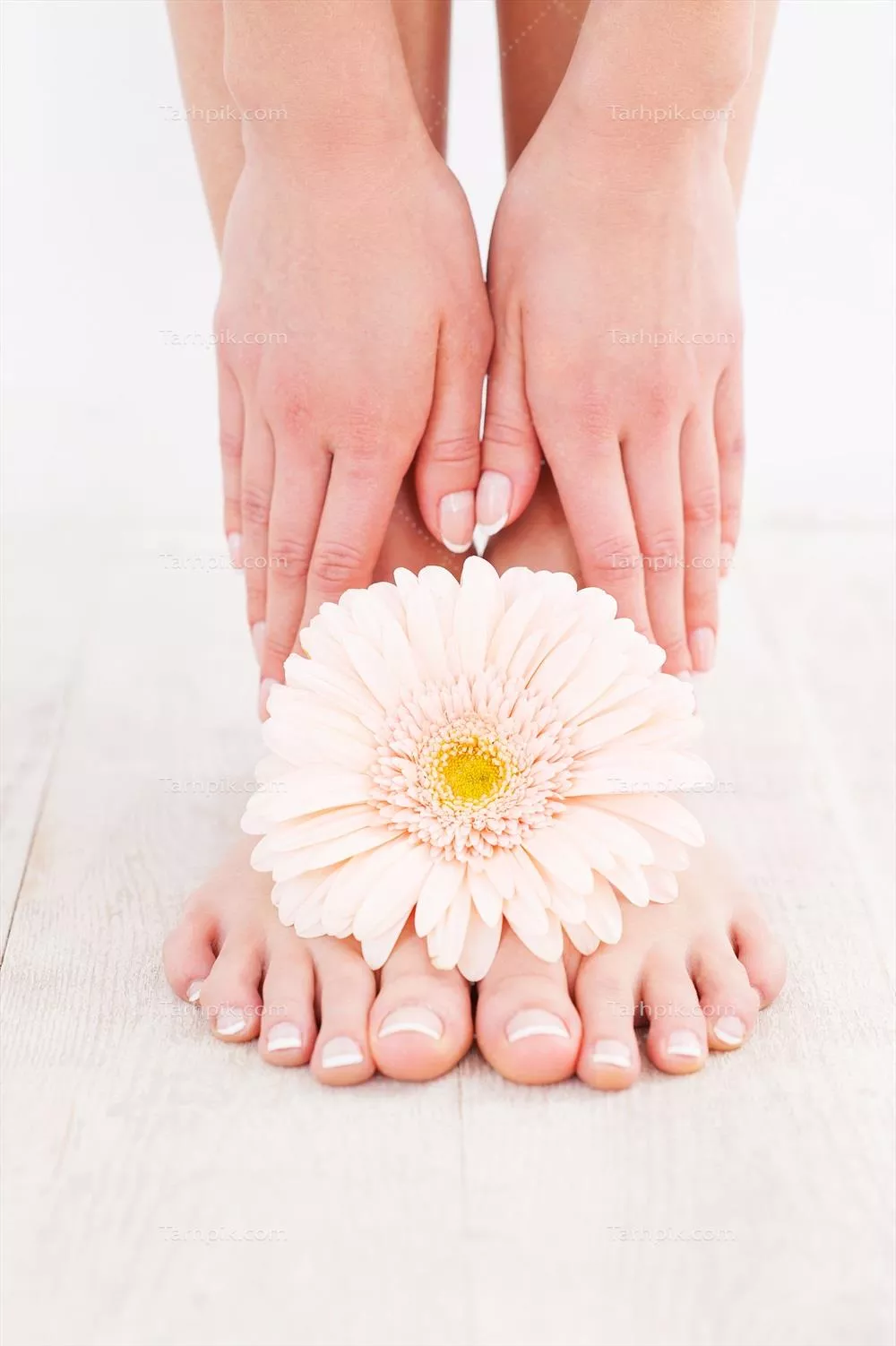 نمای نزدیک پاهای زیبا و جوان، در حال لمس پاها بر روی زمین چوبی