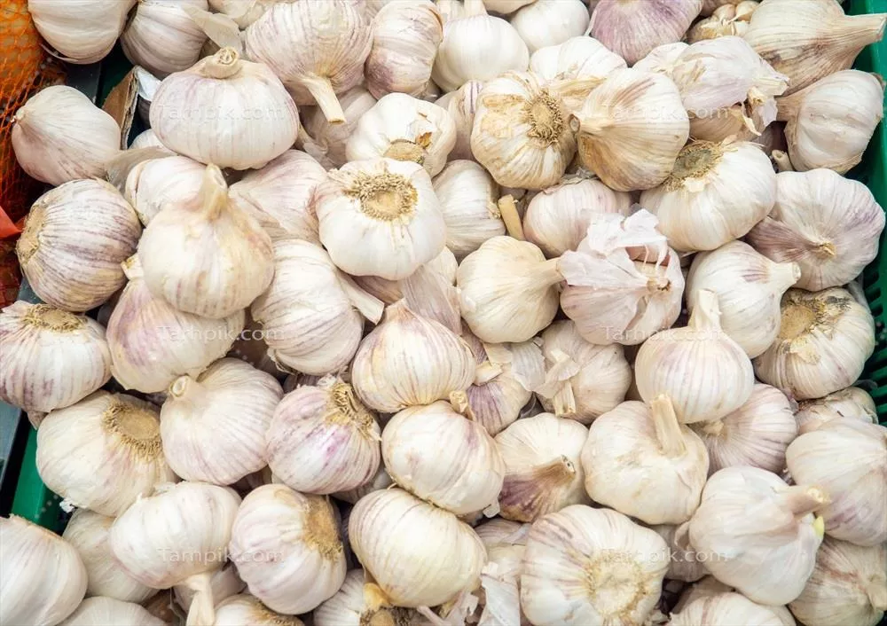 فروشگاه سبزیجات: مجموعهای از غذاهای سالم با سیر و محصولات ویتامینی در ویترین