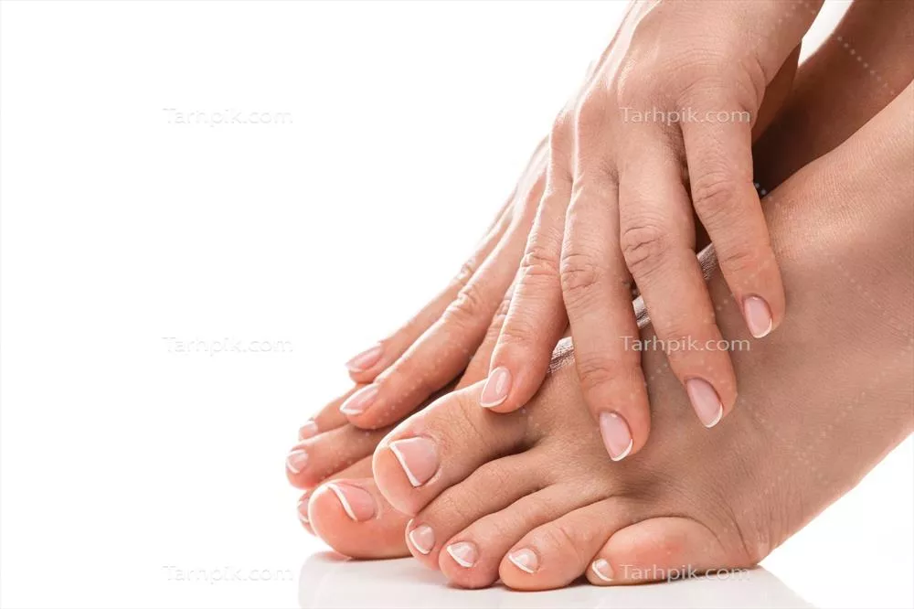 پای زنانه و دستان نرم با لاک فرانسوی روی پسزمینه سفید