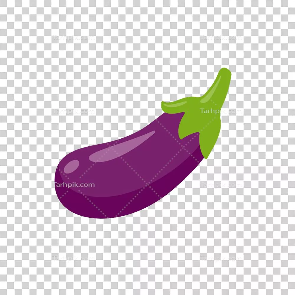 مواد لازم بادمجان برای پخت و پز سالم و خوشمزه در آشپزخانه