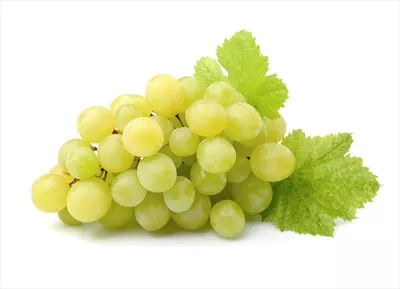 انگورهای رسیده همراه با برگهای سبز و تازه