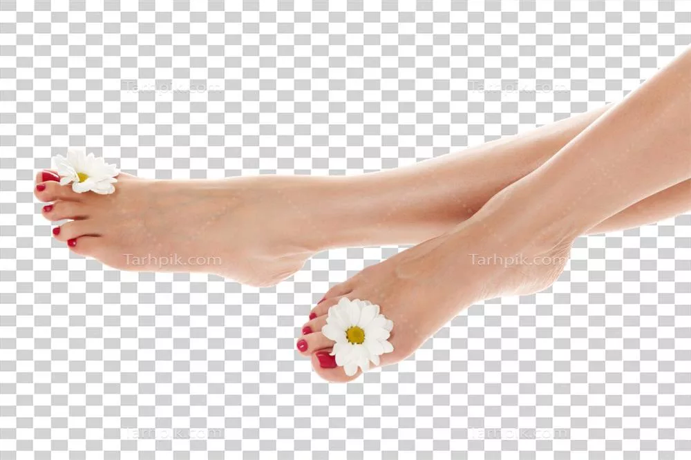 پاهای زیبا و زنانه با گل مروارید در پس زمینهای سفید و خالص