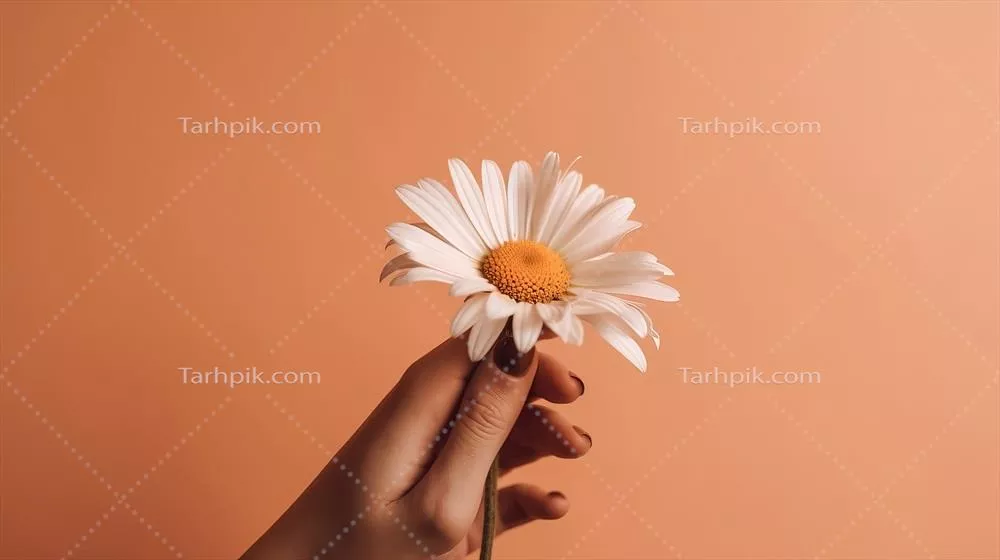 تصویرسازی دست با گل بابونه به سبک جندراوی هوش مصنوعی