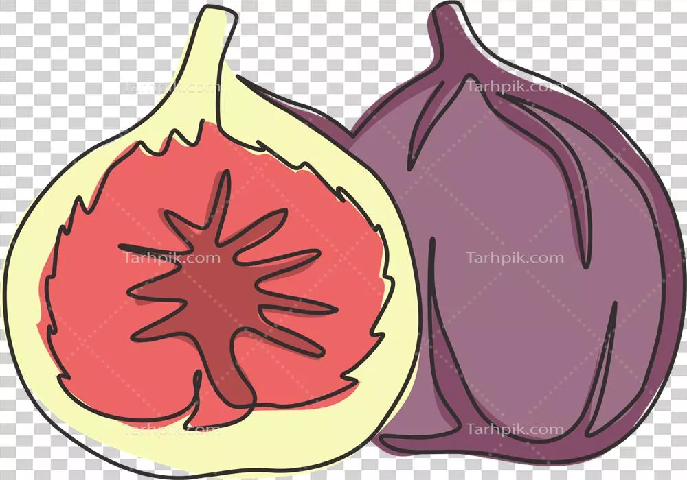 طراحی خطی مدرن فیگ تازه و ارگانیک برای لوگو و هویت باغ میوه