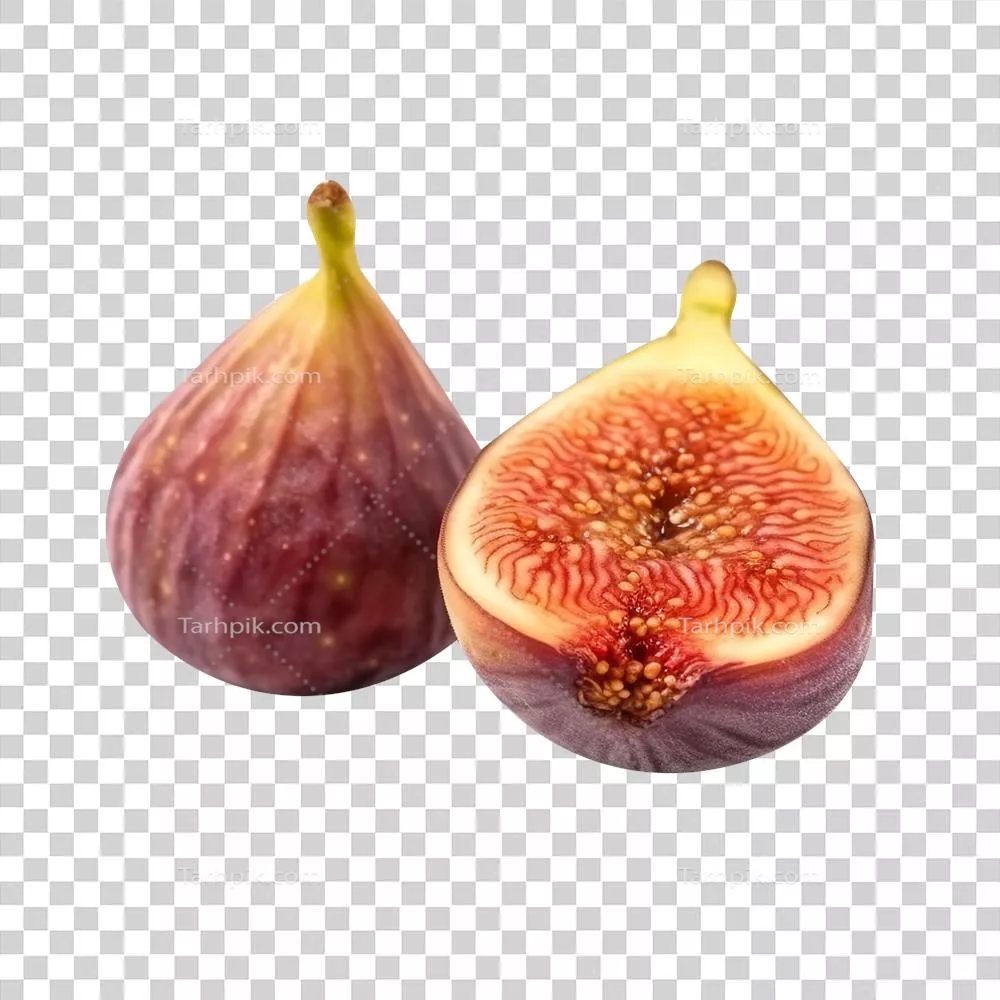 ترکیب تازه انجیر با کیفیت عالی بر روی زمینه شفاف