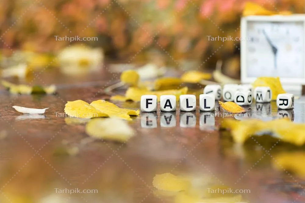 سقوط حروف چوبی: جاذبه‌ای برای یادگیری و بازی کردن