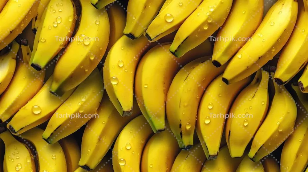 بستری زیبا برای موزها با استفاده از هوش مصنوعی ایجاد شده است