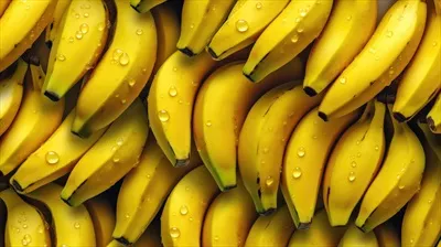 بستری زیبا برای موزها با استفاده از هوش مصنوعی ایجاد شده است