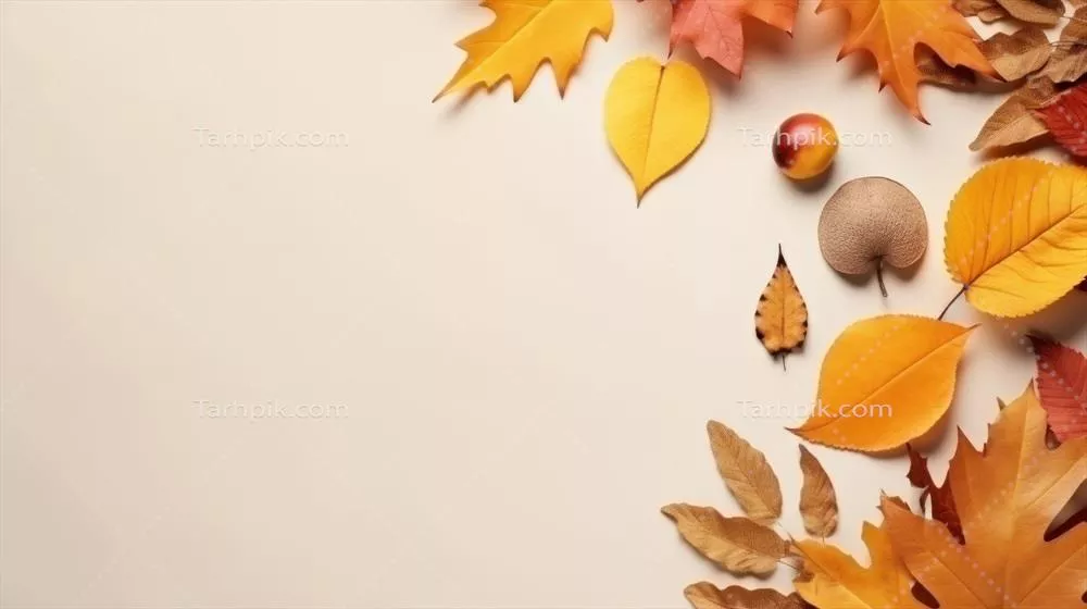 پس‌زمینه پاییزی با برگ‌های در حال سقوط و فضای خالی برای متن
