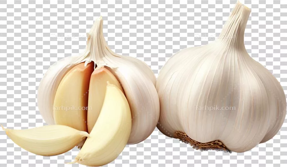 استفاده از سیر در طب سنتی و خواص شگفت‌انگیز آن به همراه فناوری هوش مصنوعی