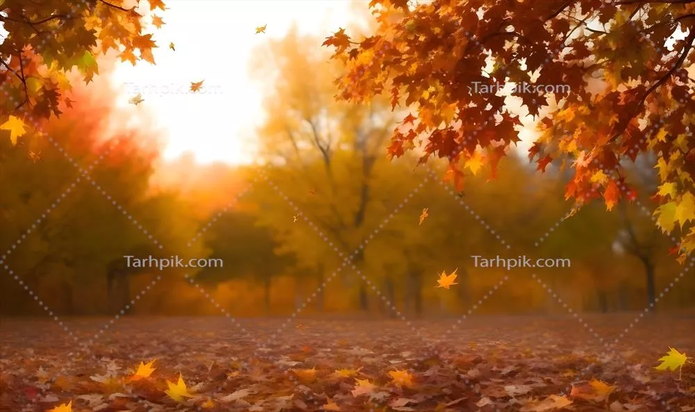 منظر پاییزی زیبا با شاخ و برگ رنگارنگ در پارک و برگ‌های ریخته شده