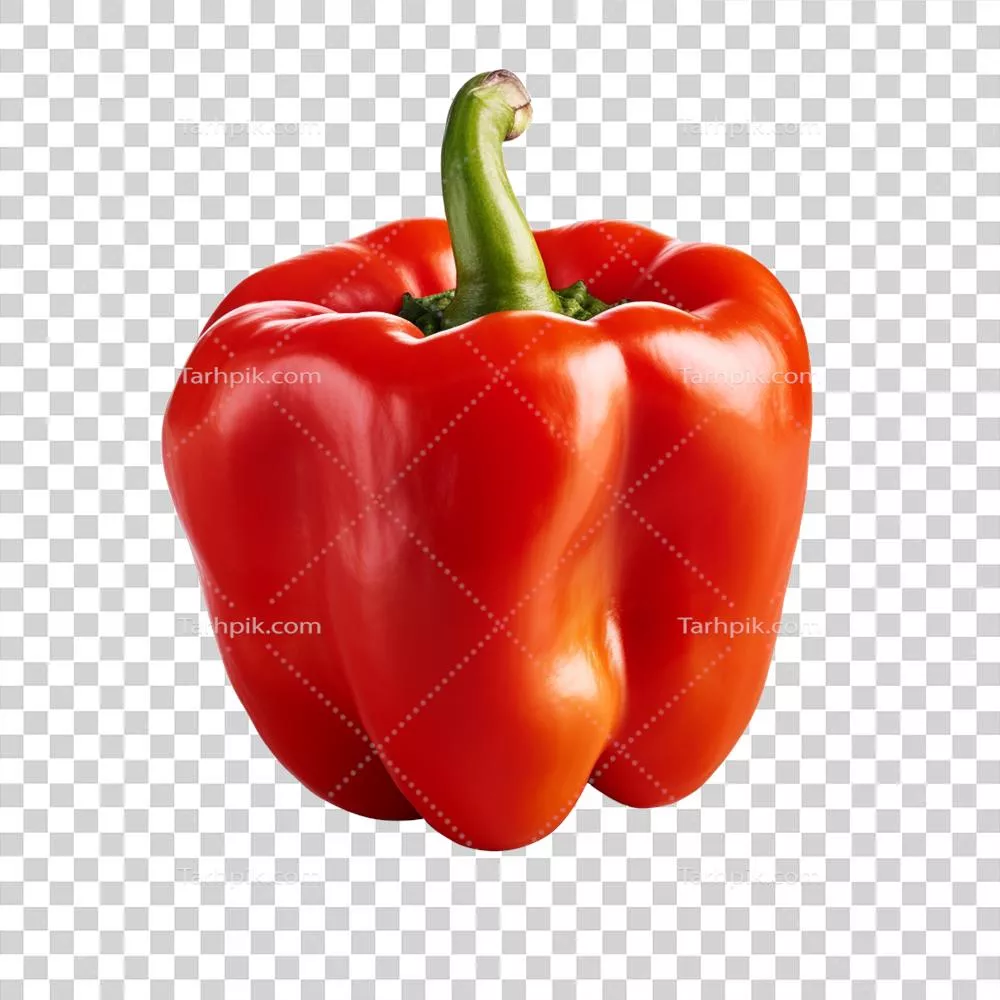 کیفیت بالای فلفل دلمهای تولید شده توسط هوش مصنوعی