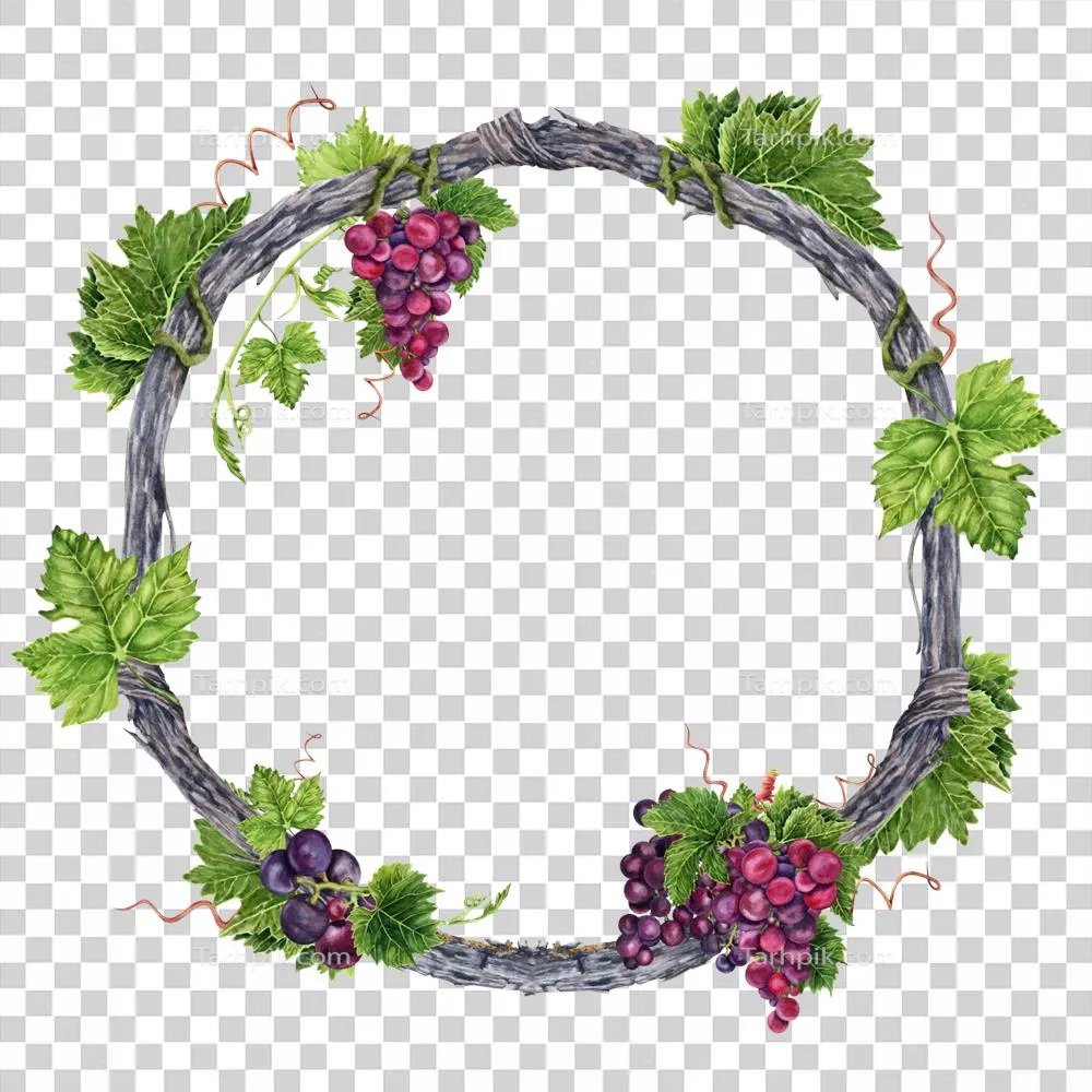 تاج گل دستکشیده با برگهای انگور و پیچکهای سبز بر روی شاخه انگور