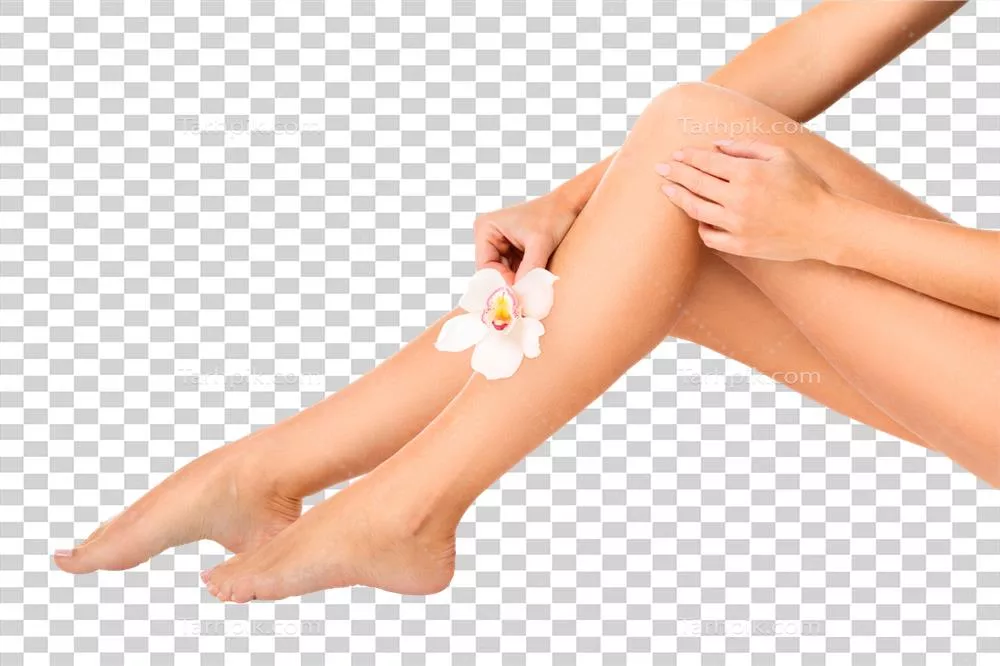پاهای زیبا و زنانه با گل ارکیده در نمای نزدیک و پسزمینه خنثی