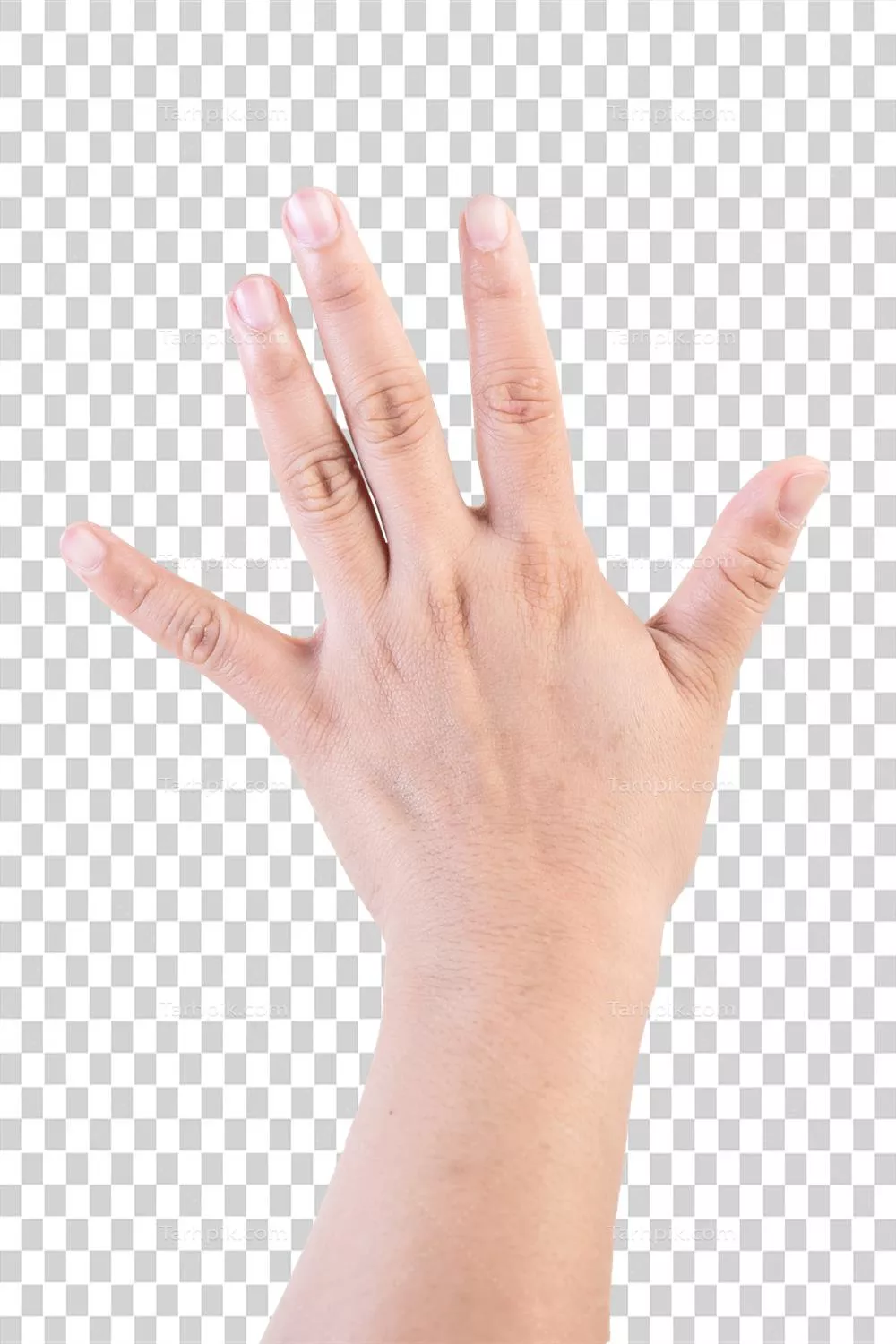 پایداری و جدا کردن اجسام از پس‌زمینه با استفاده از روش‌های کلیپینگ