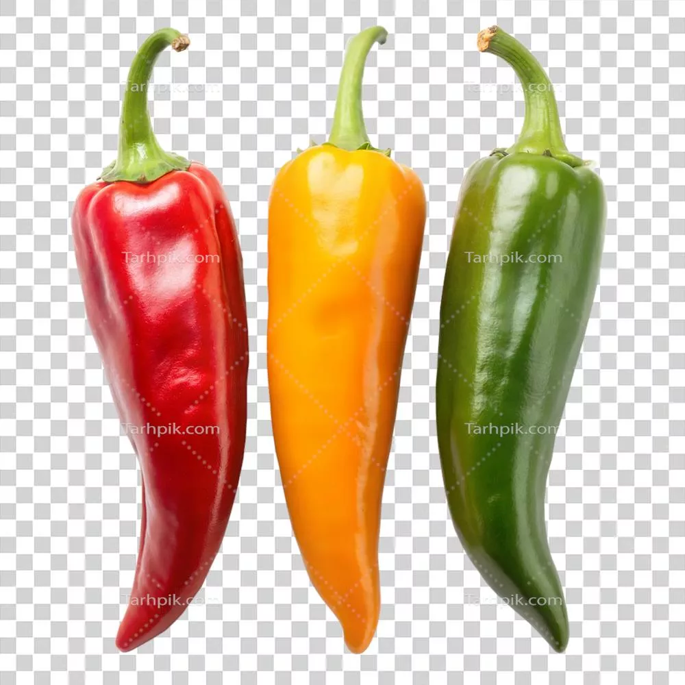 سه فلفل با رنگ‌های مختلف بر روی پس‌زمینه‌ی شفاف