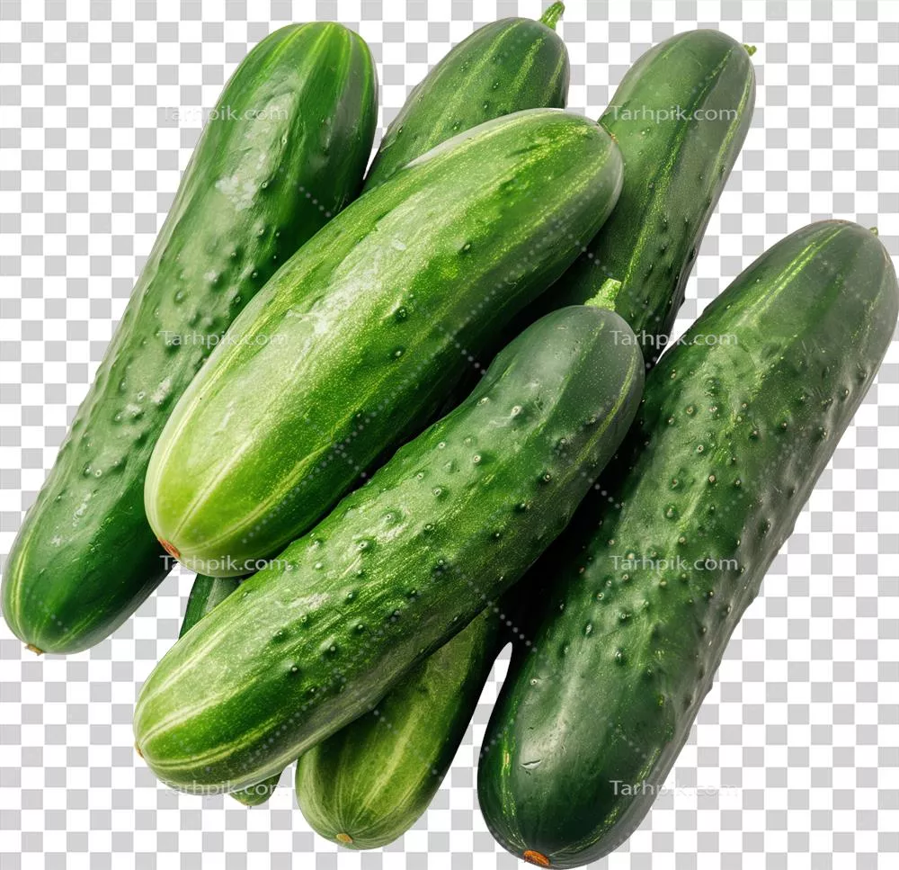 خیار تازه و سبز به صورت جدا شده بر روی پس زمینه شفاف