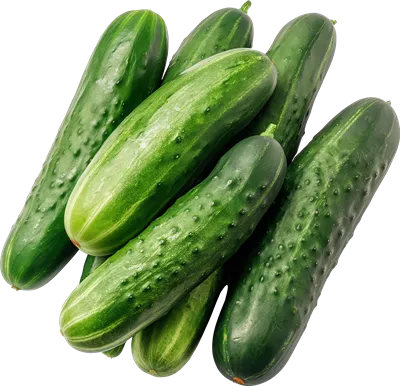 خیار تازه و سبز به صورت جدا شده بر روی پس زمینه شفاف