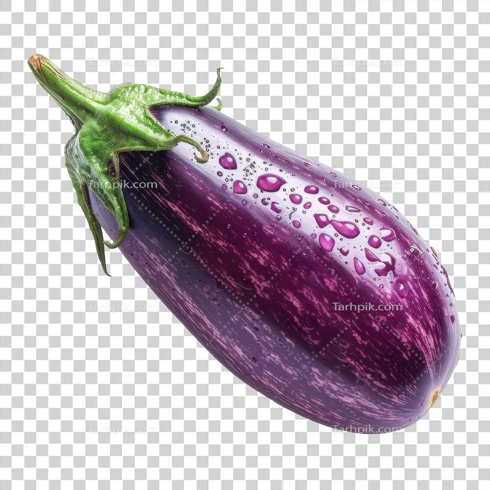 بادمجان به صورت ایزوله شده روی پسزمینه شفاف