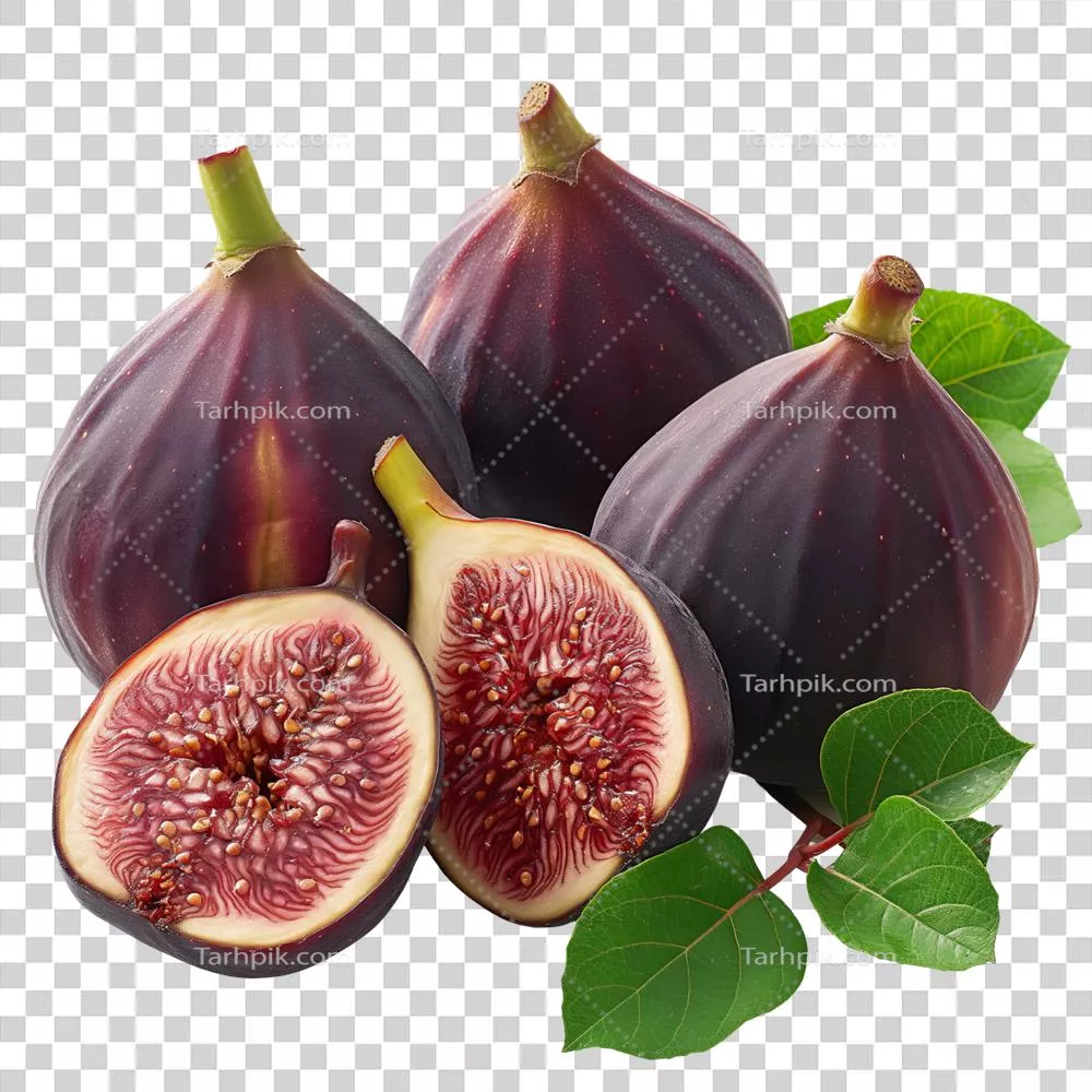 انجیرهای تازه با برگ‌ها و شاخه‌ها: یک تجربه طبیعی لذیذ