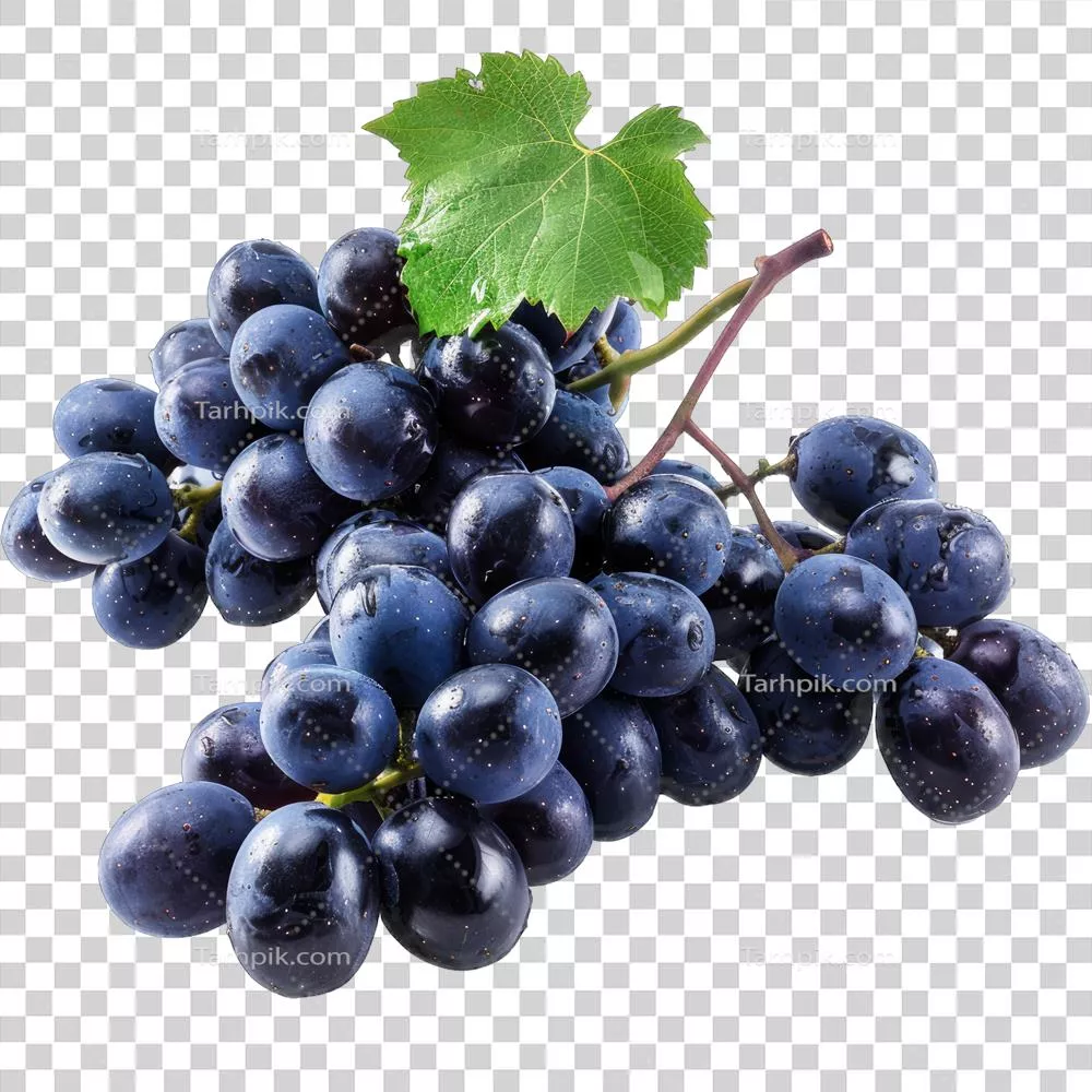 انگور تازه: خواص، انواع و روش‌های مصرف این میوه خوشمزه