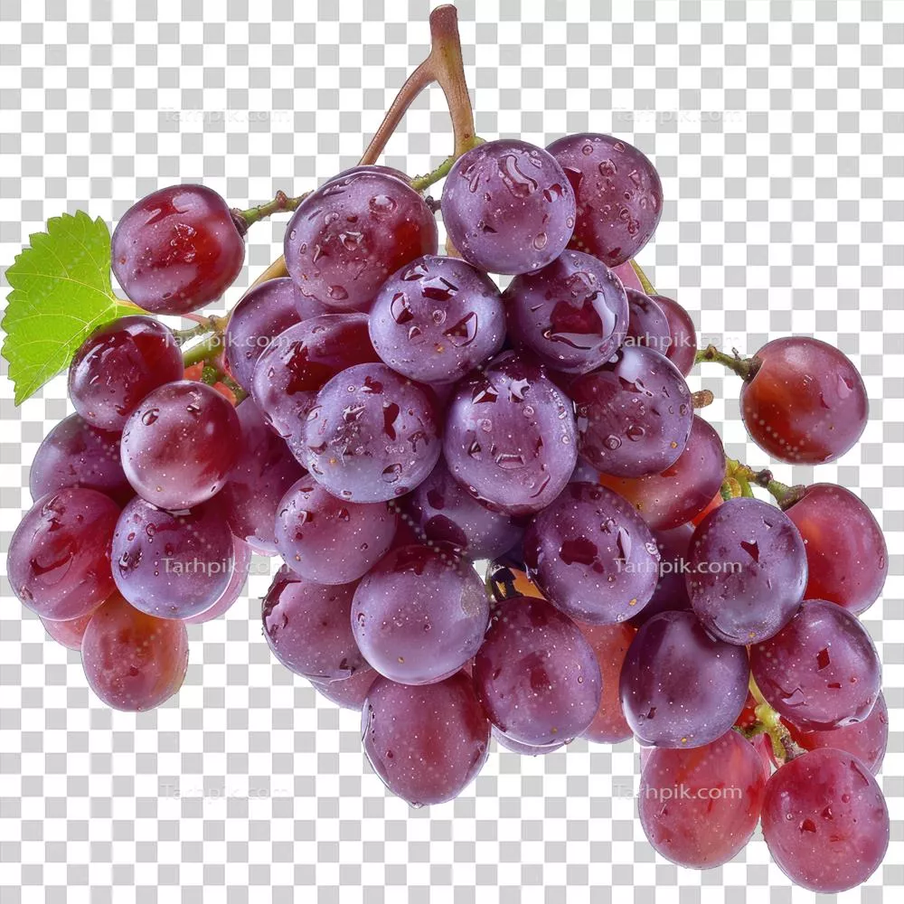 میوه انگور تازه و خوشمزه: خاصیت ها و مزایای سلامتی آن