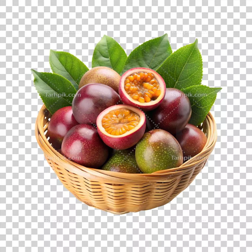 برگهای میوهئیس مرمزار در کنار یکدیگر و زیبایی طبیعی آنها