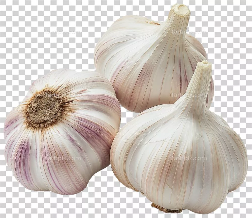تصویر جداگانه چند حبه سیر سالم و گیاه سیر
