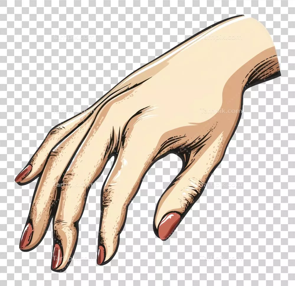 دست یک زن با ناخنهای با ظرافت مانیکور شده در تصویر شفاف