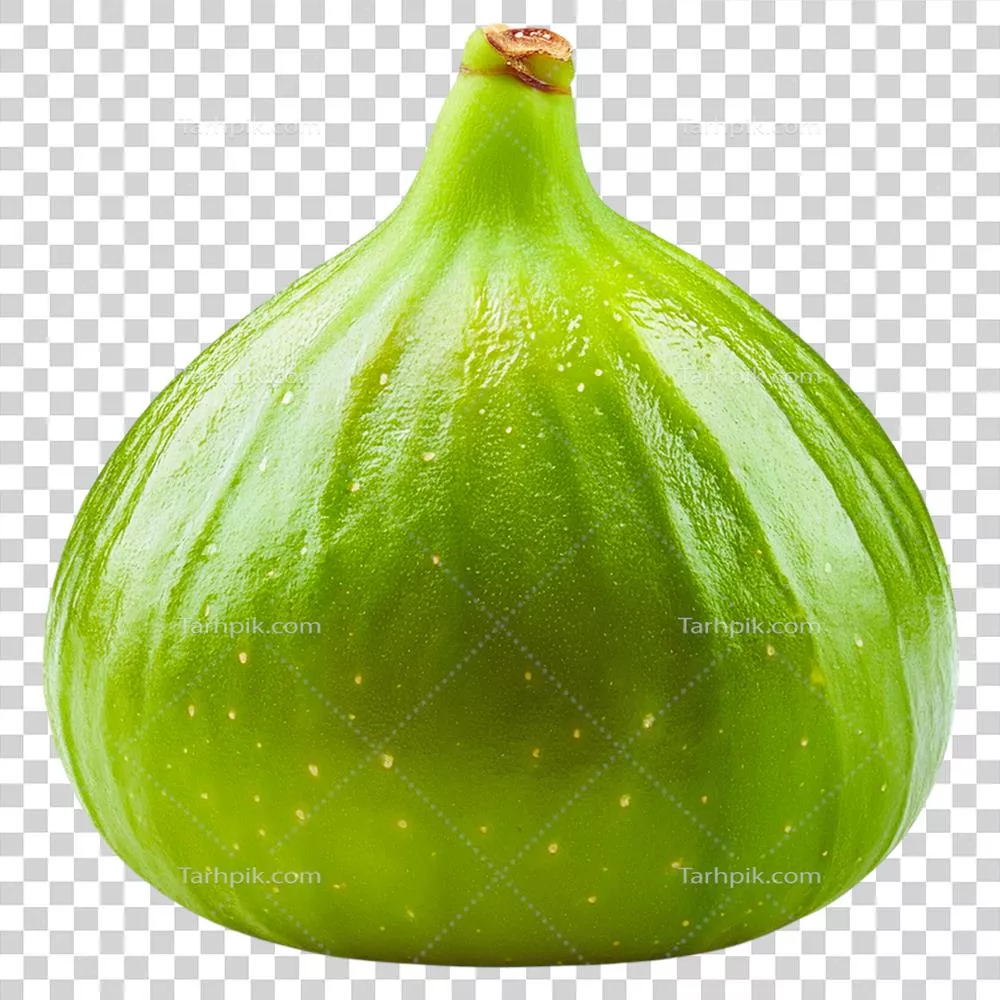 انجیر سبز تازه: طعمی طبیعی و دلپذیر در بهار و تابستان