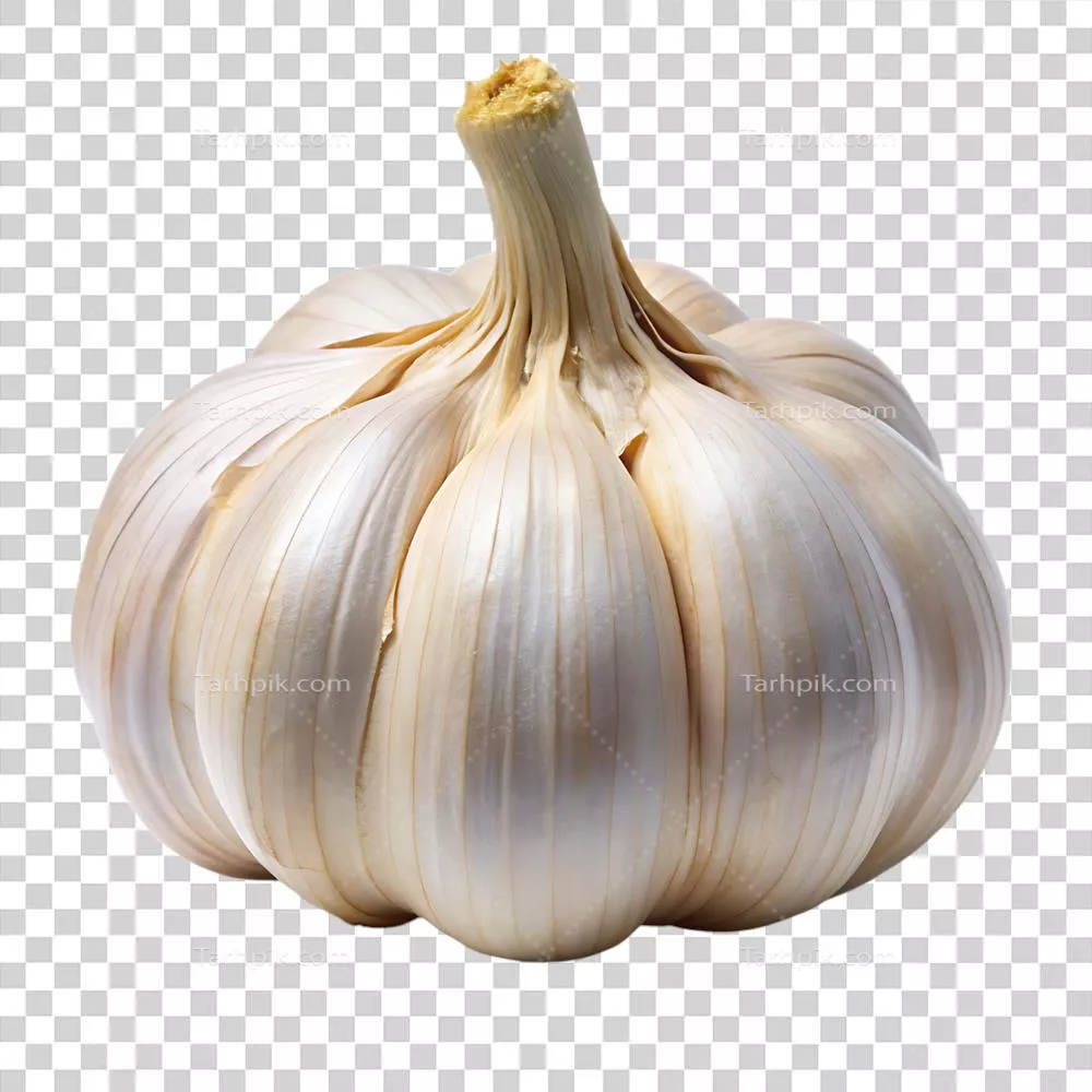 تصویر سیر روی پس‌زمینه‌شفاف: نماد طعم و سلامتی