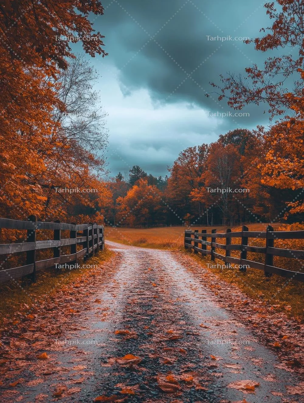 مسیر روستایی پاییزی احاطه شده با درختان و شاخ و برگ های رنگارنگ