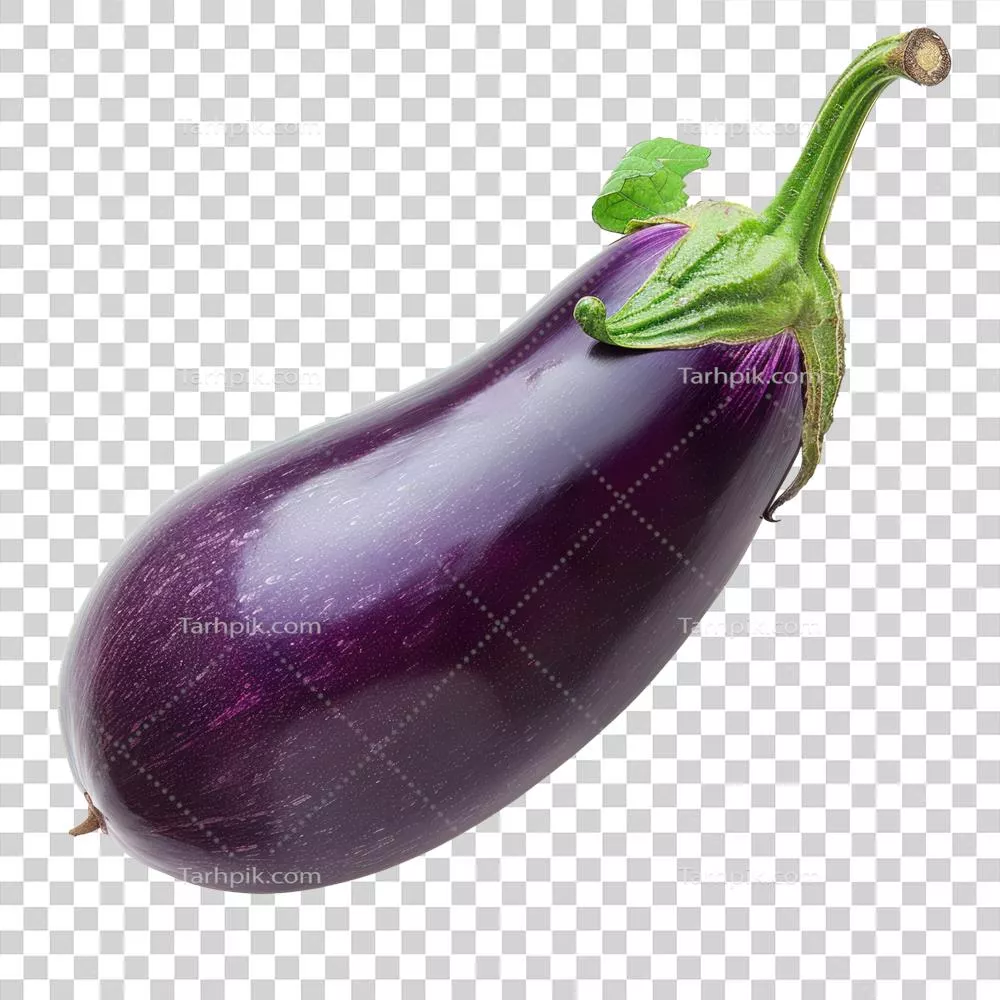 بادمجانها بهصورت ایزوله بر روی پسزمینه سفید