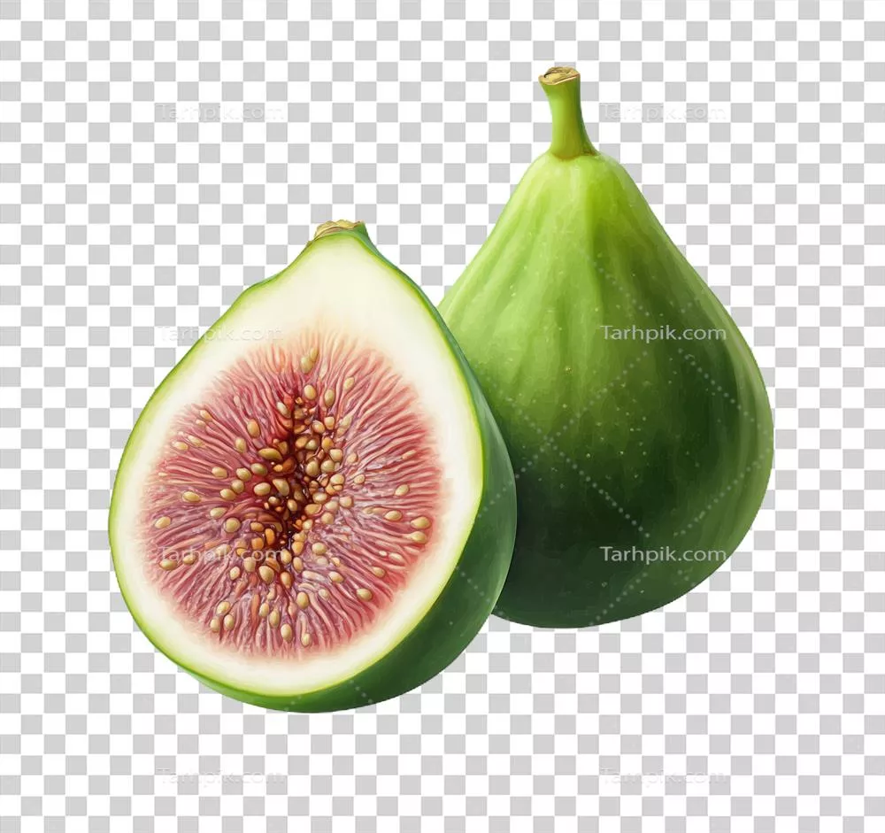 انجیر سبز تازه برش خورده با هسته ای زنده و مناسب برای لذایذ آشپزی