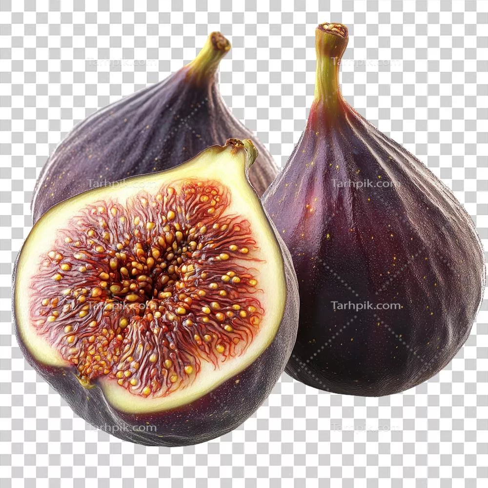 انگور تازه و رسیده با پوست بنفش غنی و interior زنده و دانه های متعدد بر روی پس زمینه شفاف