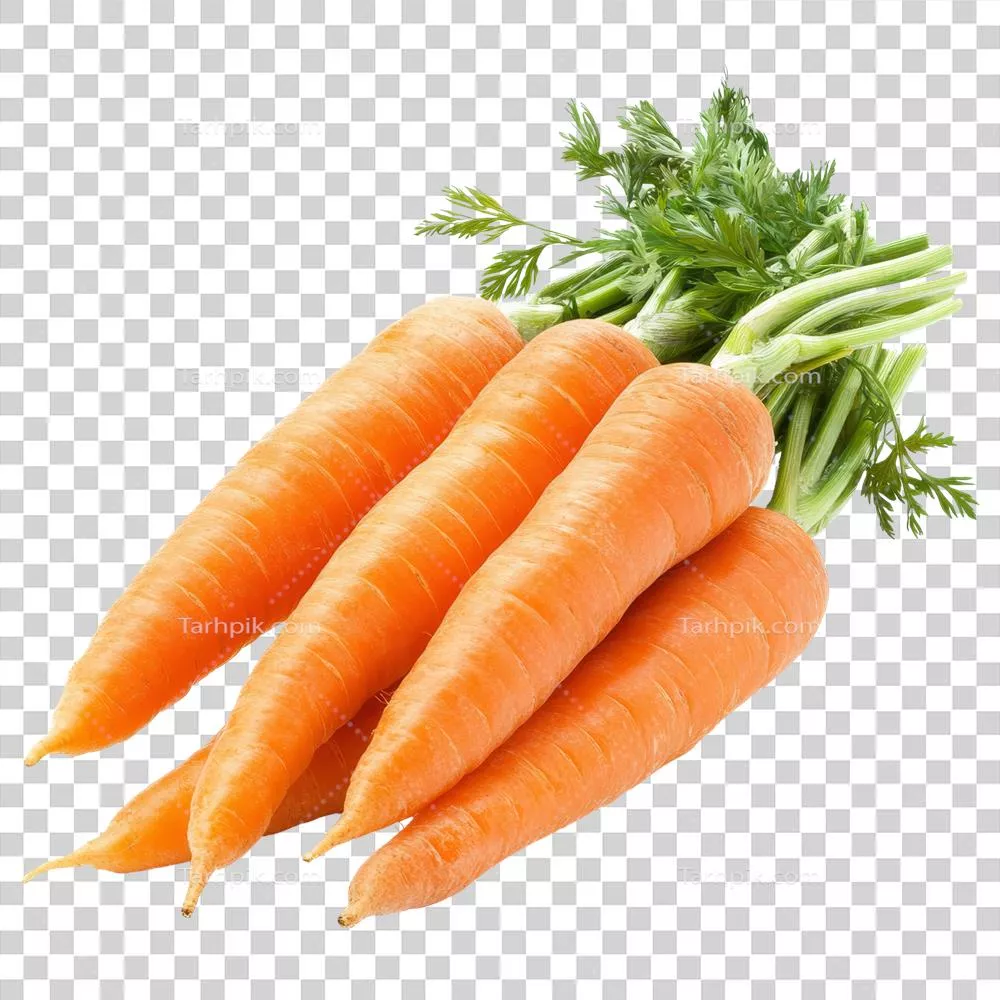 هویج های تازه نمایش داده شده بر روی پس زمینه شفاف با رنگ نارنجی زنده و برگ های سبز