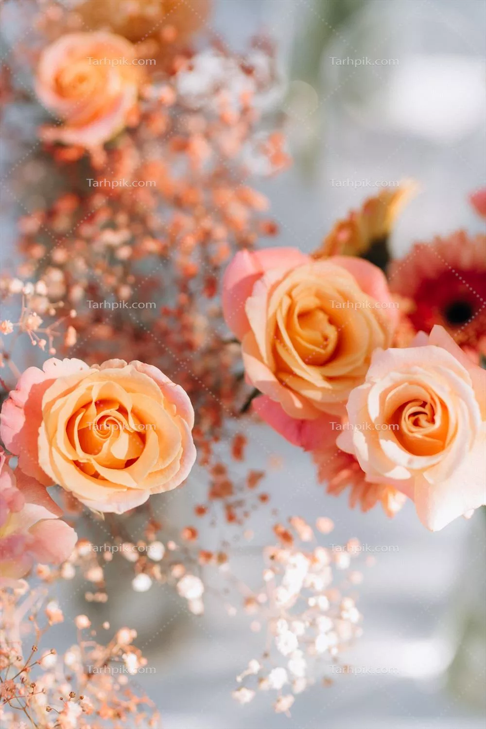 تزئینات گل برای جشن عروسی: ایده‌ها و الهامات خاص برای دیزاین