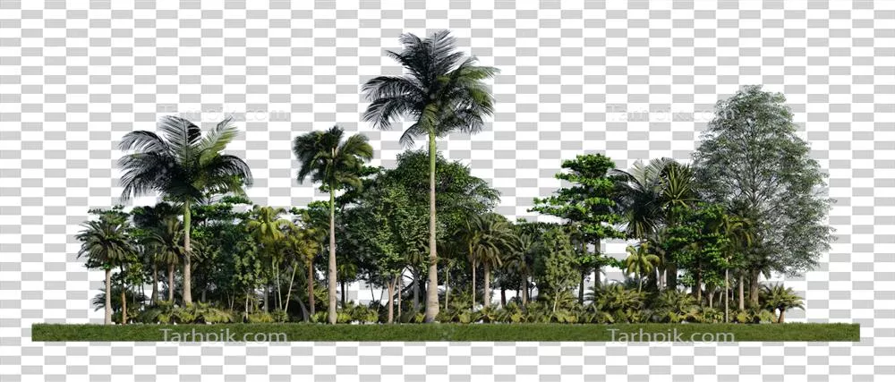 تصویر رندر شده 3D از درختان واقع در یک مزرعه علفی با کیفیت بالا