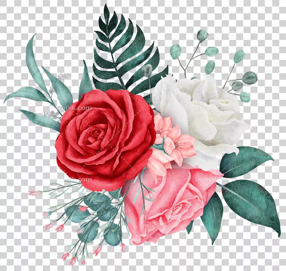 گلدان گل رز آبرنگی برای روز ولنتاین و عشق