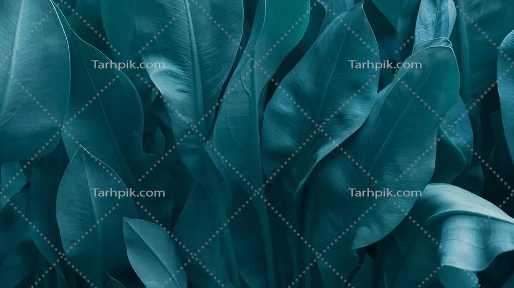 پس‌زمینه‌ای سبز با رنگدانه‌های برگ‌های پاییزی در نزدیکی، بافتی انتزاعی و زیبا از برگ‌های گرمسیری