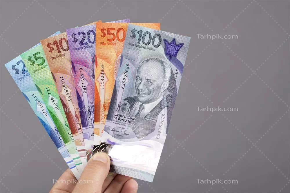 پول باربادوس در دست با پس زمینه خاکستری - جذابیت مالی مناطق کارائیب