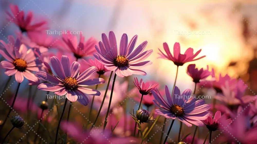 تصویر زمینه گل های تولید شده با هوش مصنوعی در زمینه طبیعت و منظره روشن و تازه