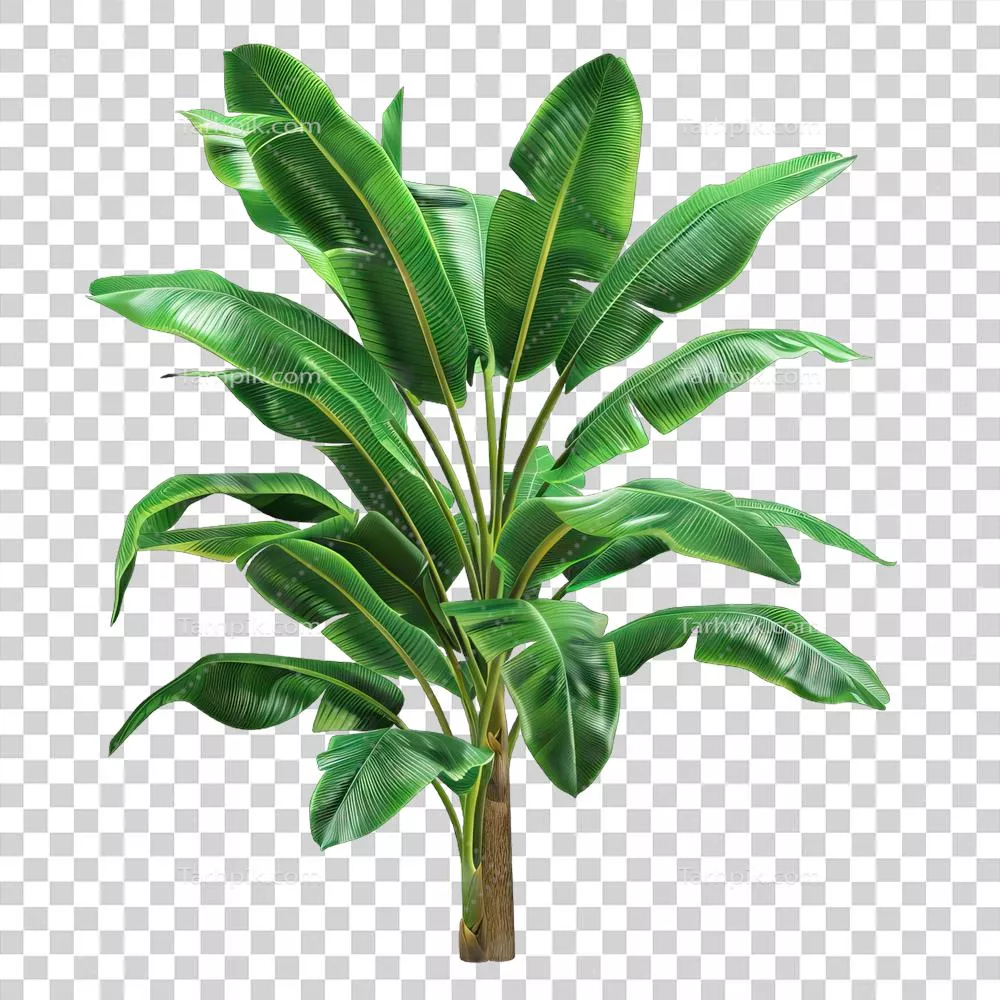 درخت سبز تازه: نماد زندگی و طراوت در طبیعت